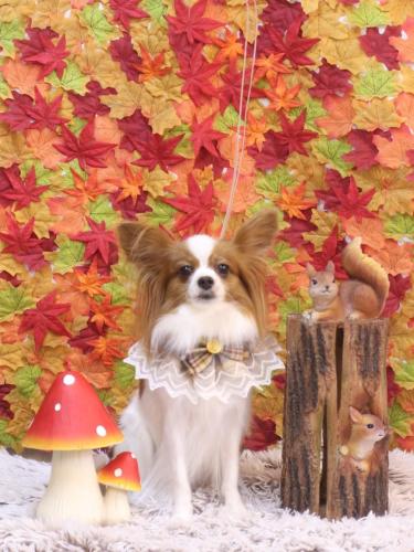 20241115ぎゅうちゃん